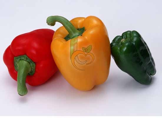 Pepper “capsicum” – Fruit Link Fresh Produce